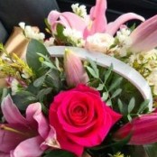 Pretty In Pink