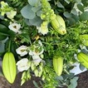 Luscious Lilys